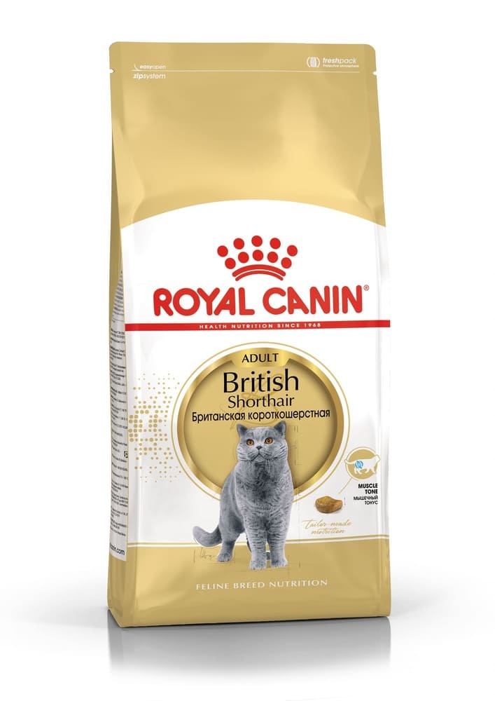 Royal Canin British Shorthair Adult
